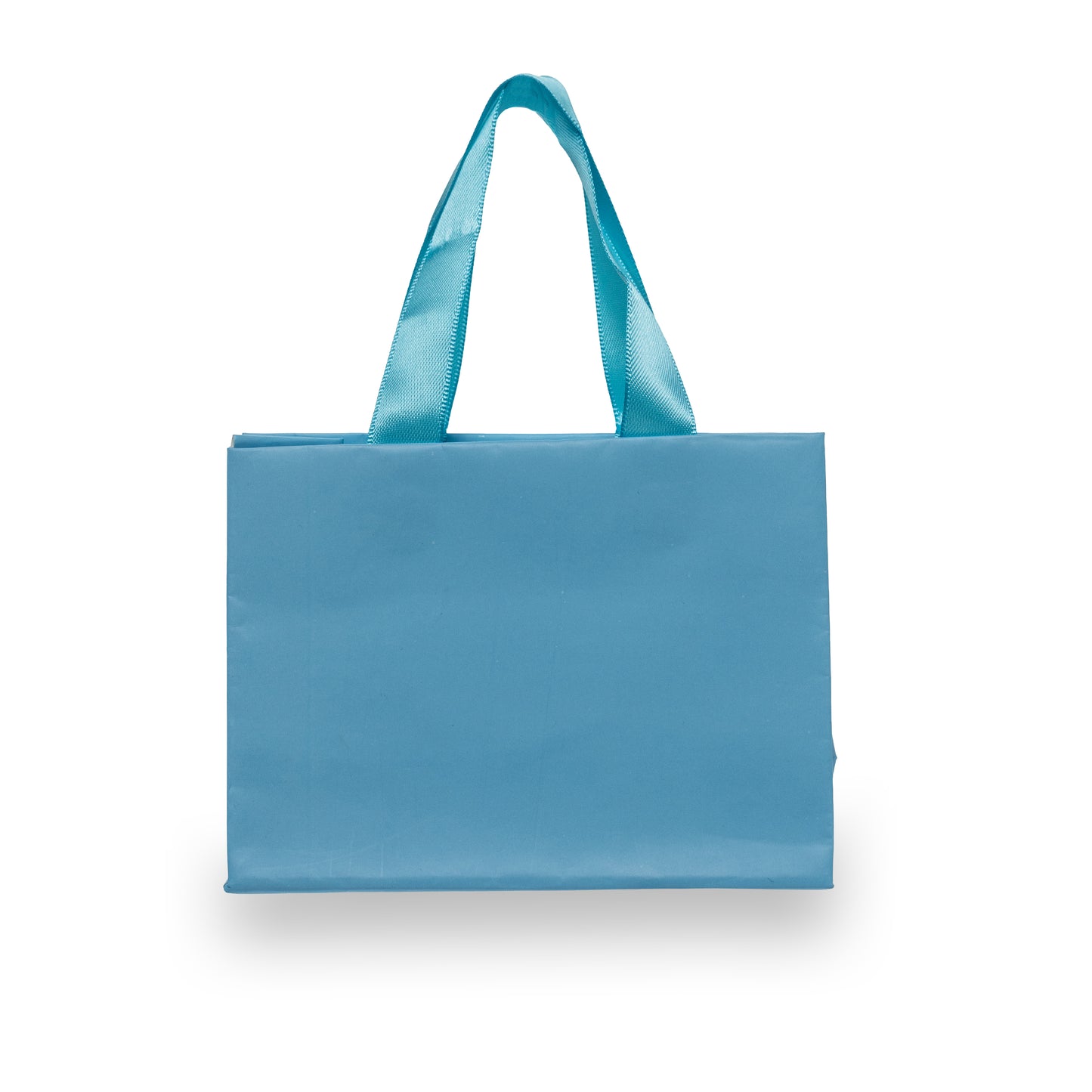 Bolsa Chica -Azul Cielo-Paquete 12 Piezas