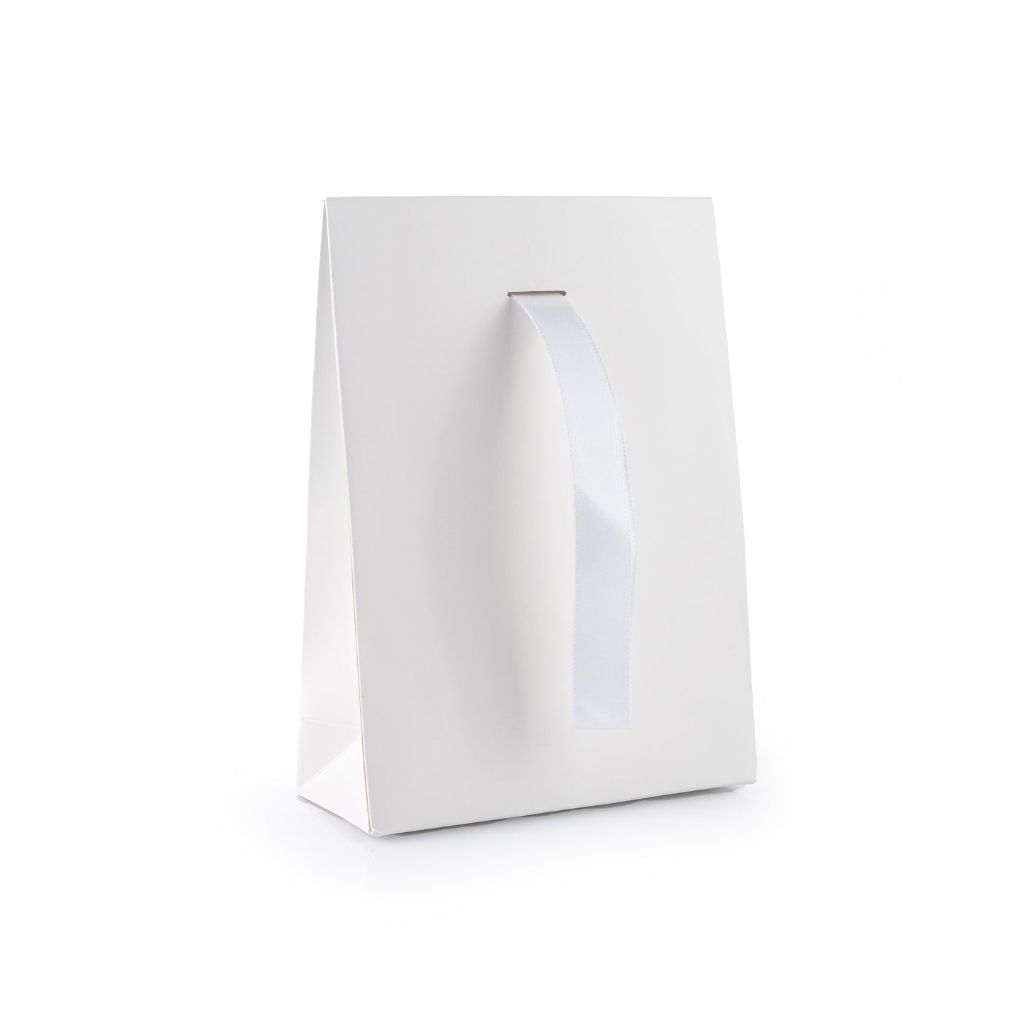 Bolsa Grande 1 Liston -Blanco-